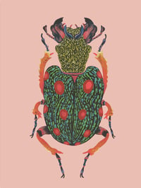 Image 1 of Beetle Mania 06
