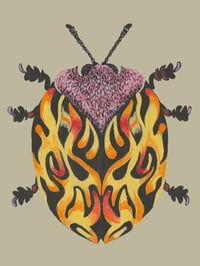 Image 1 of Beetle Mania 08