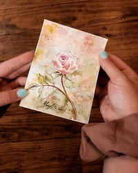 Delicate Rose -Fine Art Print