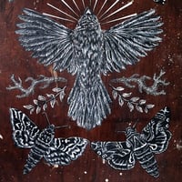 Image 3 of Bird of pray, 2022