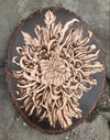 Decumbent