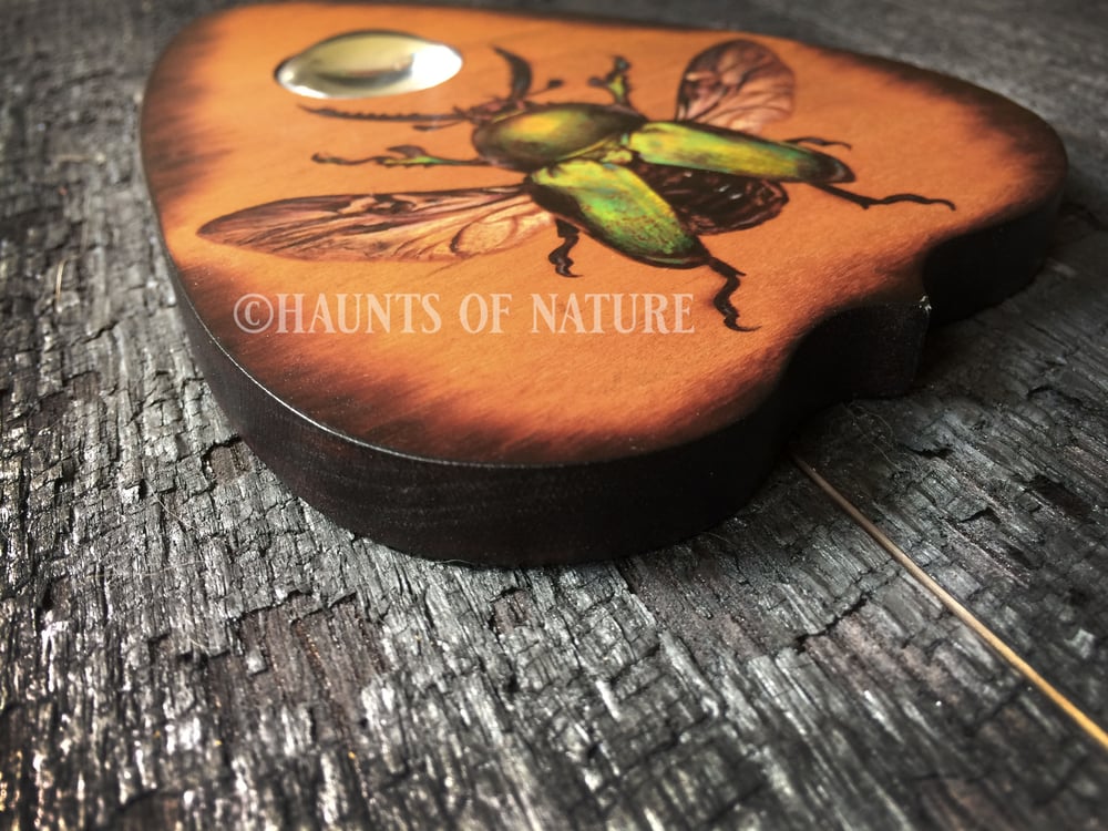 Wood Burned Ouija Planchette: Green Beetle