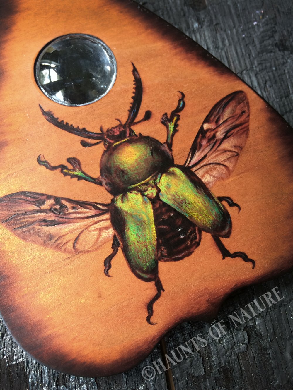 Wood Burned Ouija Planchette: Green Beetle