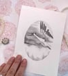 Grus Americana – Whooping Crane graphite drawing