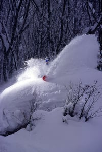 Image of JaPOW!