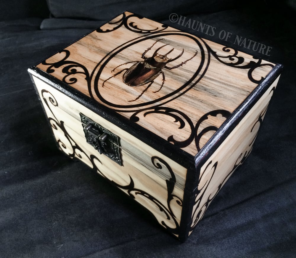 Wood Burned Beetle Trinket Box