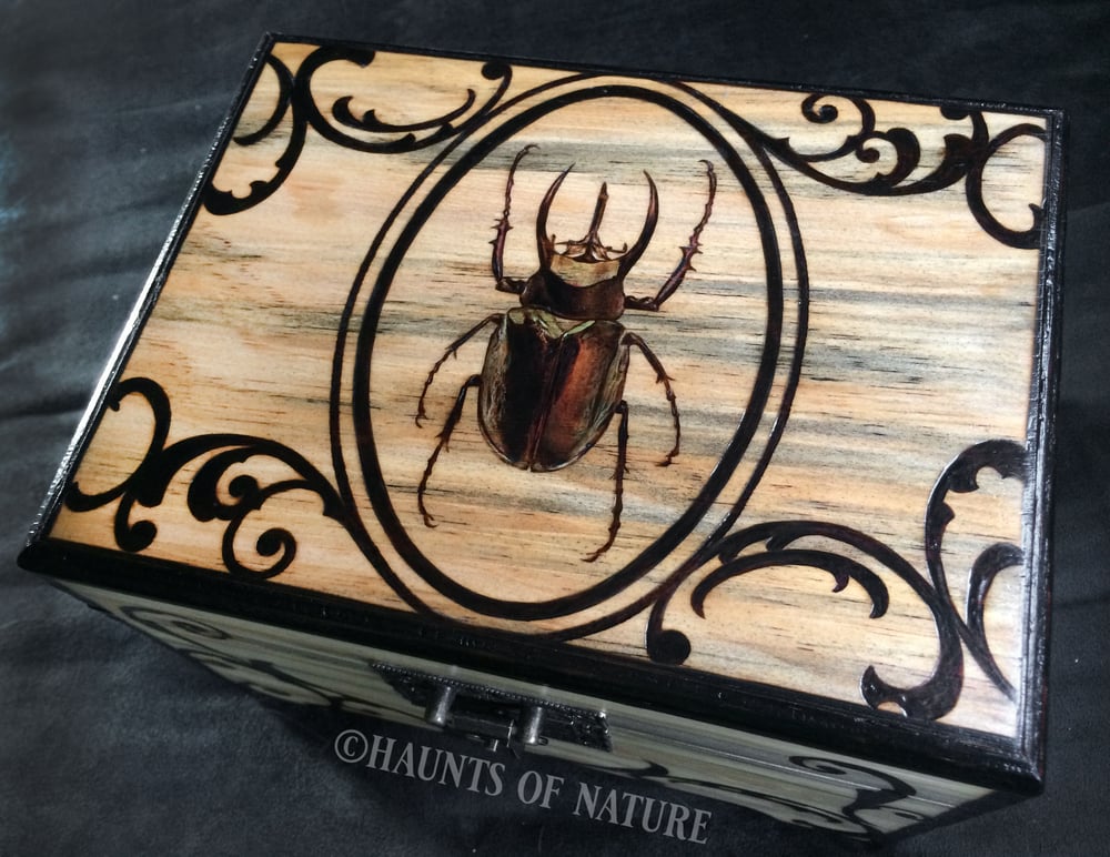 Wood Burned Beetle Trinket Box