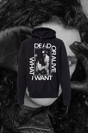 Image of Dead or Alive Hoody