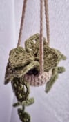 Teensy Crochet Plant 