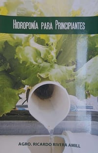 Hidroponía para principiantes 