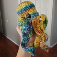 Image 1 of Striped Octopus