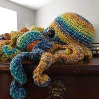 Image 3 of Striped Octopus
