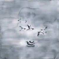 COMMON MURRE - Original & Prints