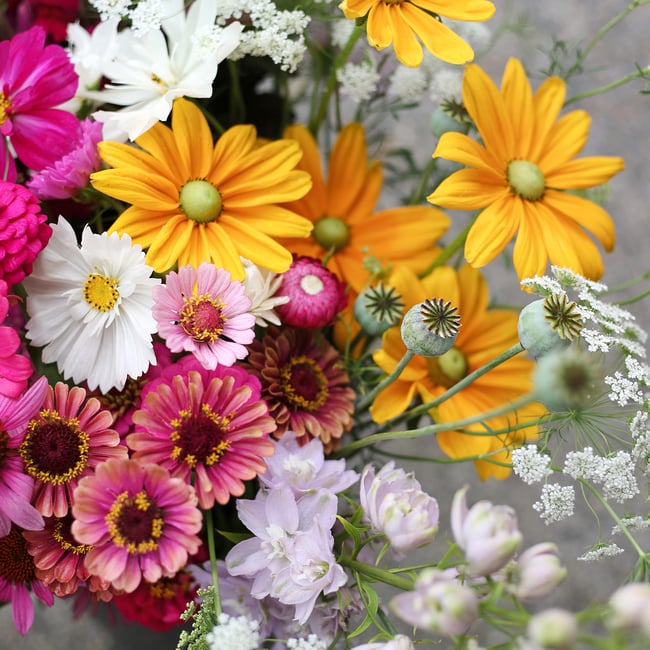 Bulk bucket of flowers