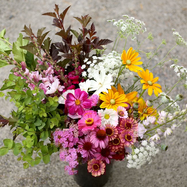 Bulk bucket of flowers