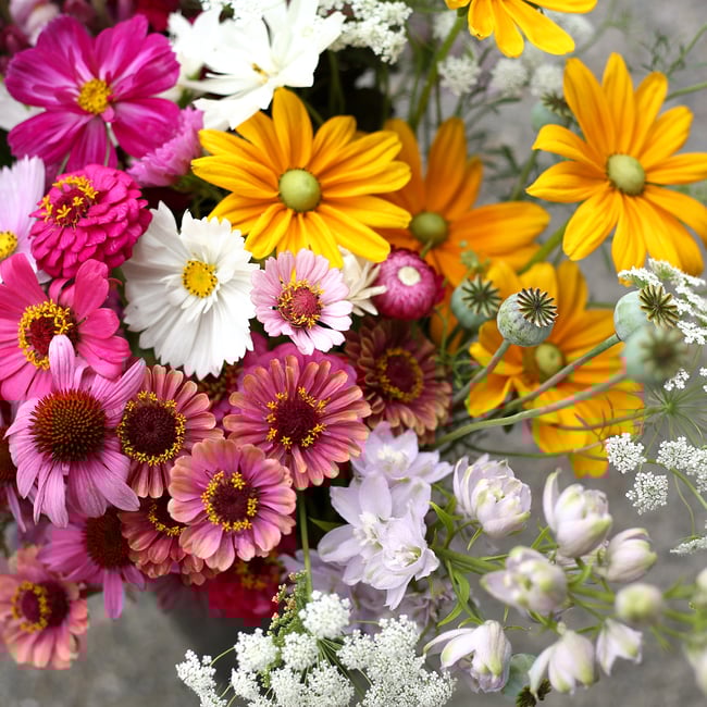 Bulk bucket of flowers