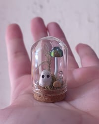 Image 1 of Tiny Ghost Terrarium 