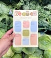 Magnetic Grocery List Notepad