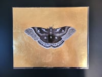 Image 2 of 'Gilded Moth' Hand-Leafed Prints