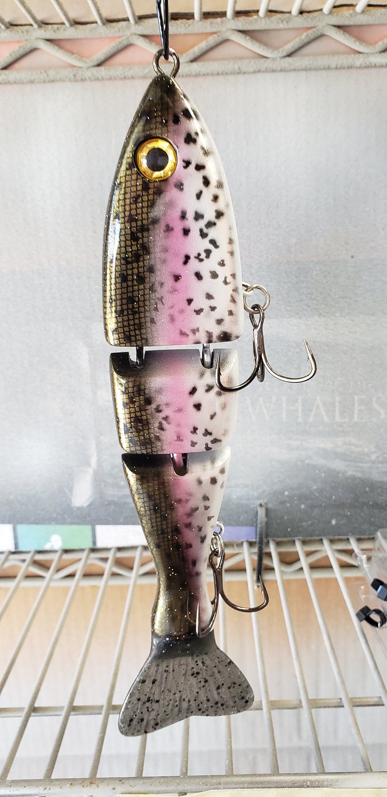 Image of FLOATING 10 inch. silver trout stencil dots.