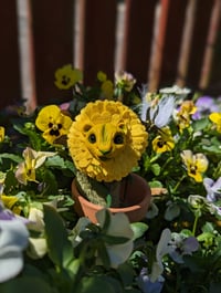 Image 1 of Dandelion