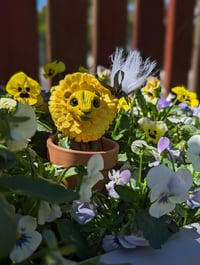 Image 2 of Dandelion