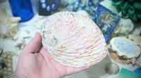 Image 3 of Large Abalone Shell