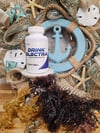VEGETATION CELL NOURISHER-Chondrus Crispus Irish Sea Moss  -105 Capsules