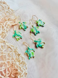 Image 1 of Agate Sea Turtles