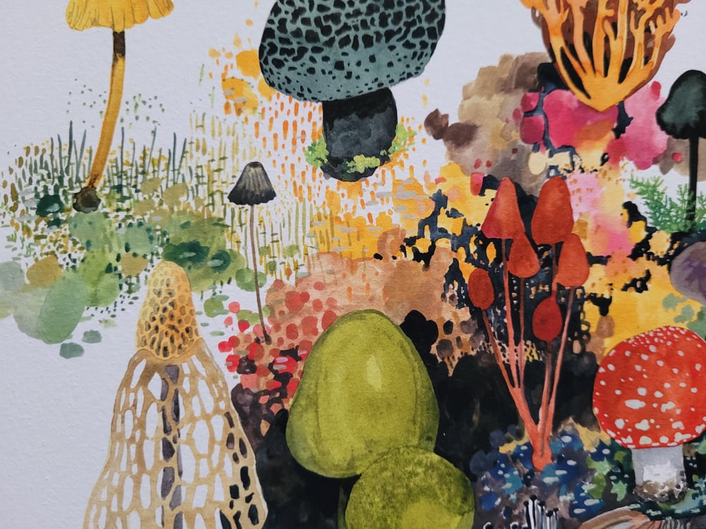Image of Fungi Wonderland