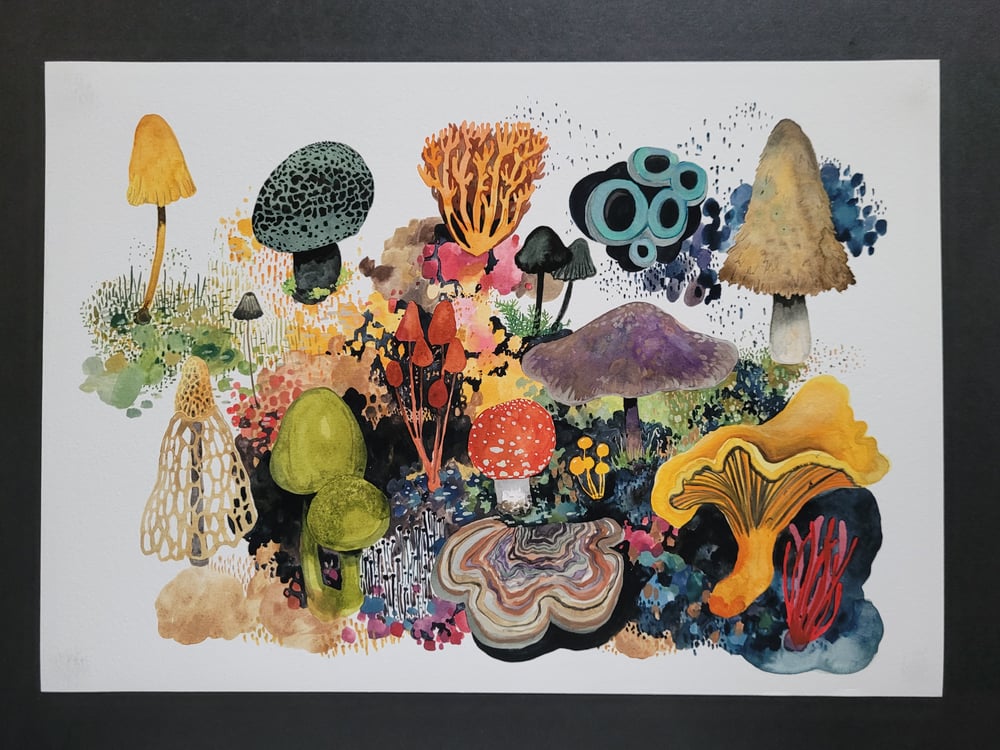 Image of Fungi Wonderland