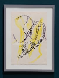 Seaweed monoprints - each unique