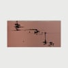8097 Untitled, 2023