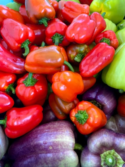 Image of Raised Bed Sponsor (F2T Dinner)