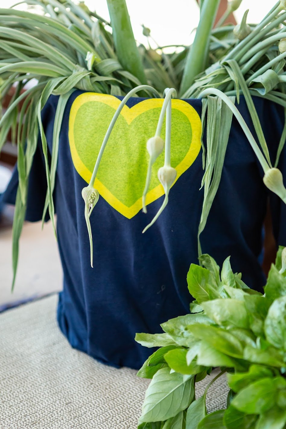 Image of Raised Bed Sponsor (F2T Dinner)