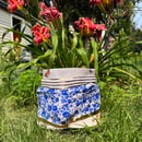 Image 1 of Booty Shorts Planter
