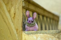 Image 4 of Dust Bunny - Lilac Fluff Style