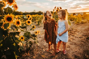 Image of Sunset Sunflower Minis