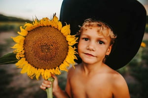 Image of Sunset Sunflower Minis