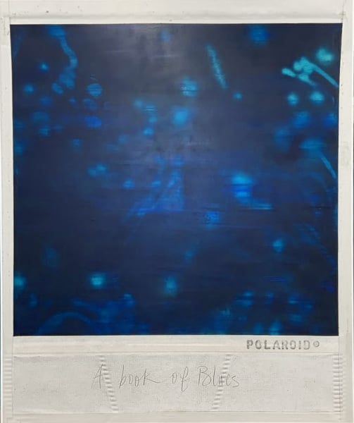 Image of Priscilla Monge | A BOOK OF BLUES (POLAROID)