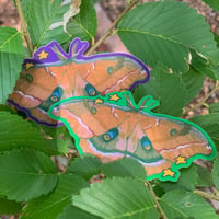 Image 1 of polyphemus moth sticker