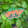 polyphemus moth sticker