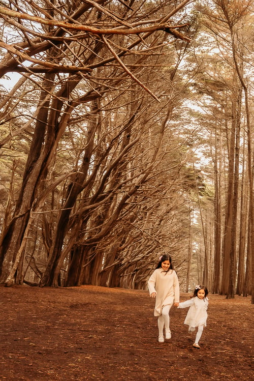 Image of Cypress Tree Tunnels at Moss Beach Full and MINI Sessions