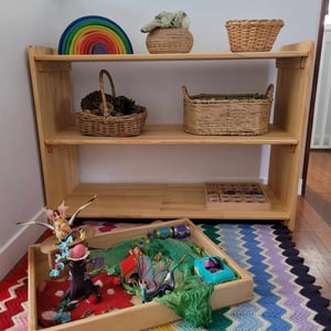Image of Deep Toy Storage Shelf 