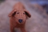 Knit Dog – Dachshund