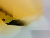 Image 3 of SUPERPOSITION #7