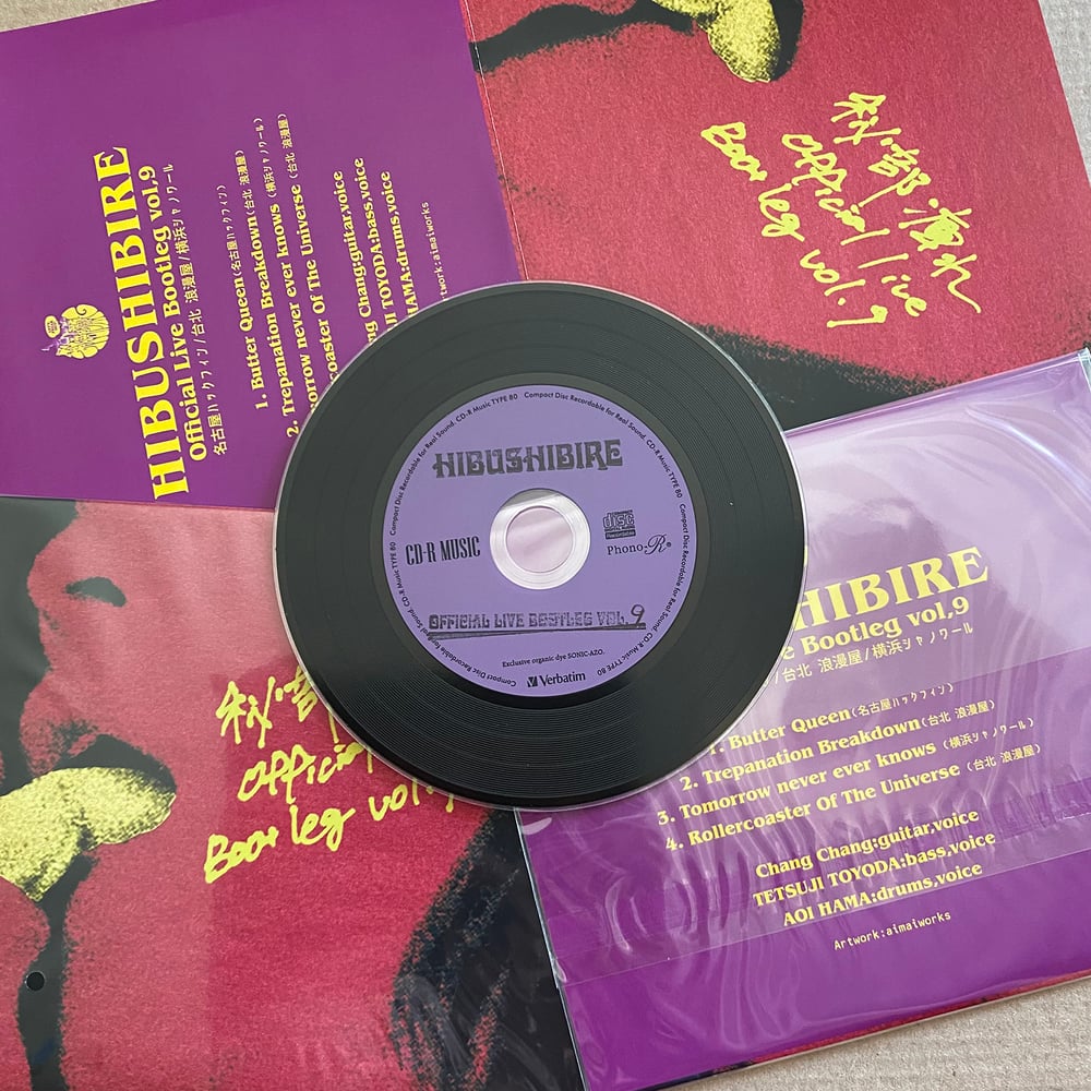 HIBUSHIBIRE 'Official Live Bootleg Vol 9' Japanese CD
