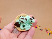 Image 5 of Mint Chocolate Chip Ice Cream Dragon