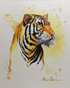 8 x 10 Inch Print - Watercolor Tiger 