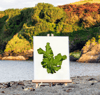 Unframed A5 print Sea Lettuce - Ulva fenestrata